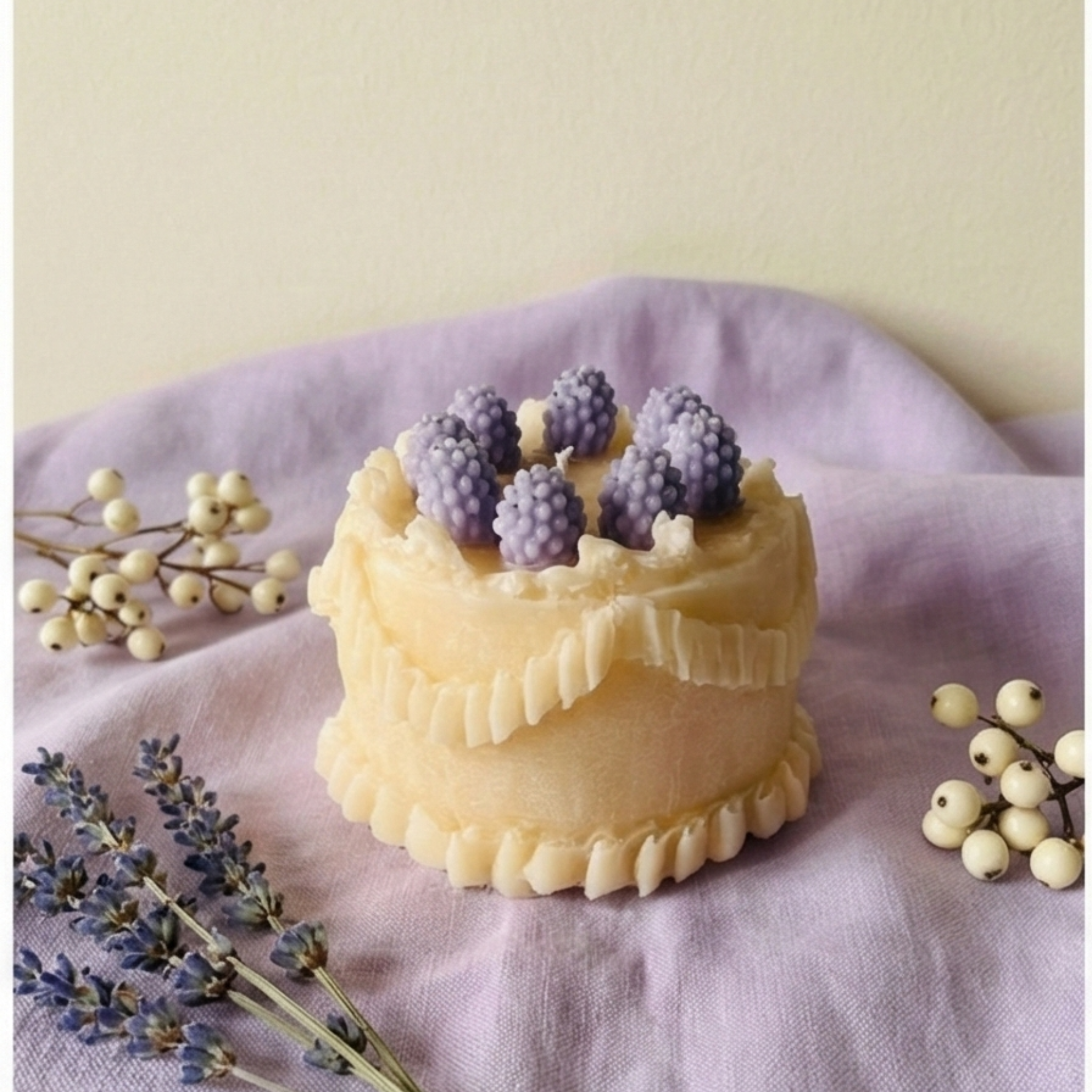 dracaena lisa dracaena lisa